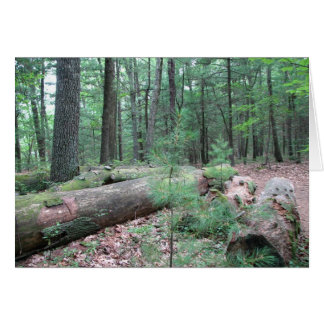 Cartão Walden Forest