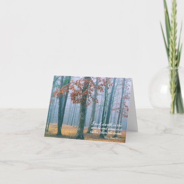 Cartão Walk in the Woods  -  Greeting Card (Frente)