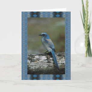 Cartão Walk on the Wild Side - Scrub Jay