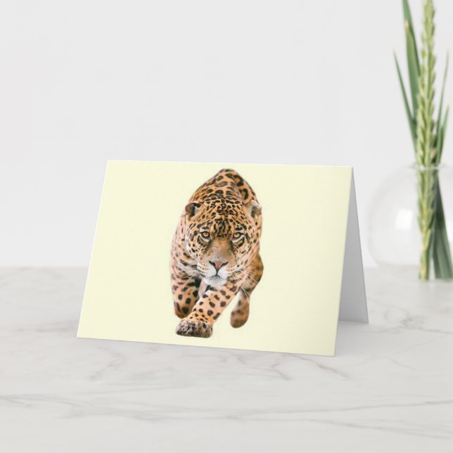 Cartão Walking Jaguar Eyes (Frente)