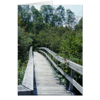 Cartão "Walkway, Floresta Nacional de Montanha Verde"
