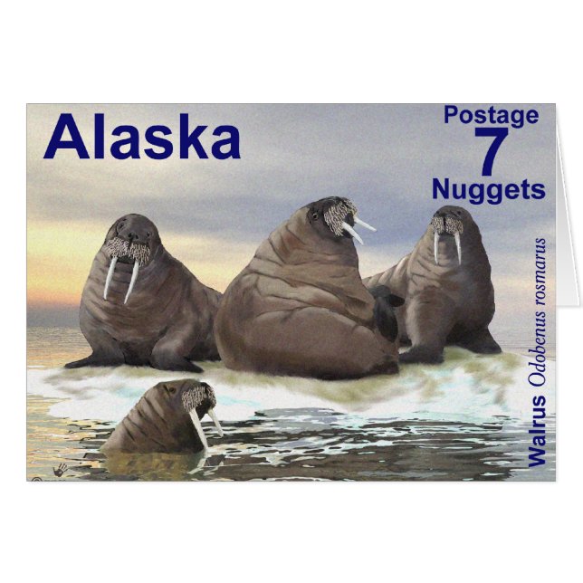 Cartão Walrus - Quatro irmãos (Frente Horizontal)