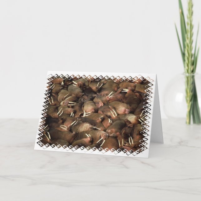 Cartão Walruses Greeting Card (Frente)