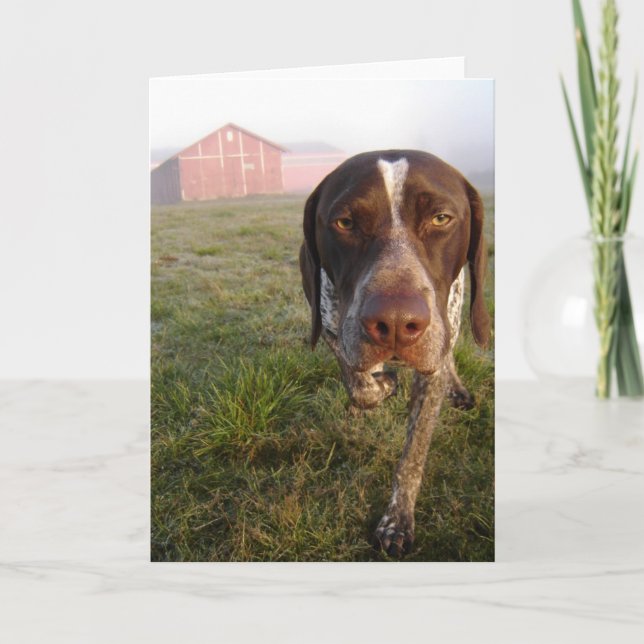 Cartão Walter Barn Notecard (Frente)