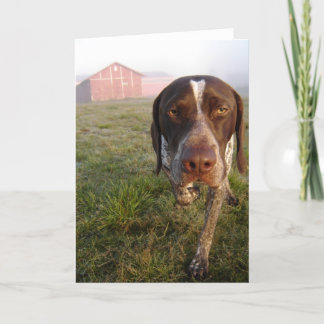 Cartão Walter Barn Notecard