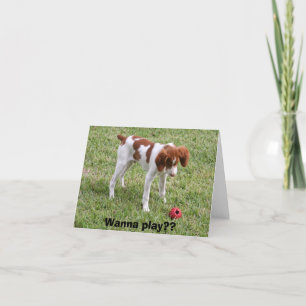 Cartão Wanna play??