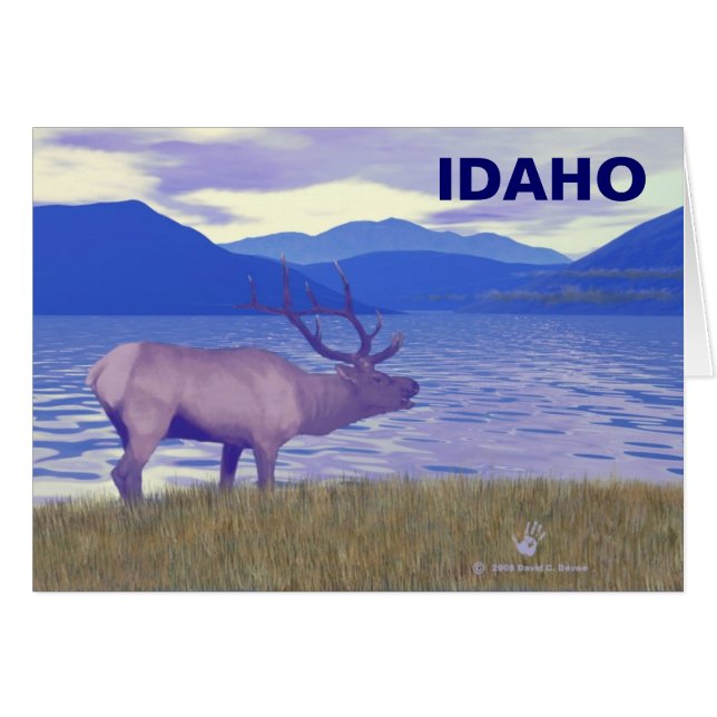 Cartão Wapiti (Elk) Pelo Lago (Frente Horizontal)