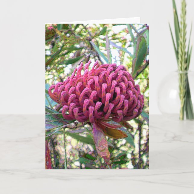 Cartão waratah (Frente)