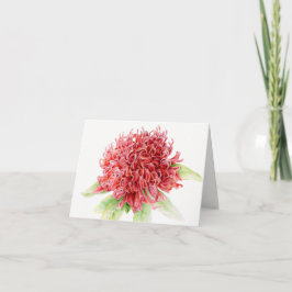 Cartão Waratah red floral botanical watercolor art card