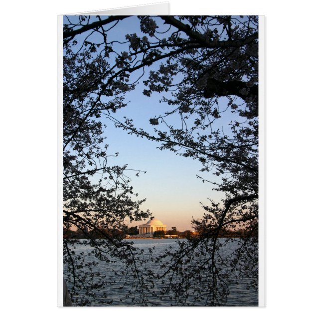 Cartão Washington DC Cherry Blossom (Frente)