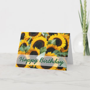 Cartão Washington, Seattle, Sunflower for sale pike