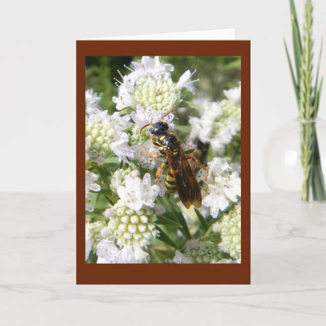 Cartão Wasp on Mountain Mint in Prairie Blank Note Card (Frente)
