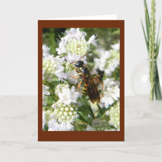 Cartão Wasp on Mountain Mint in Prairie Blank Note Card