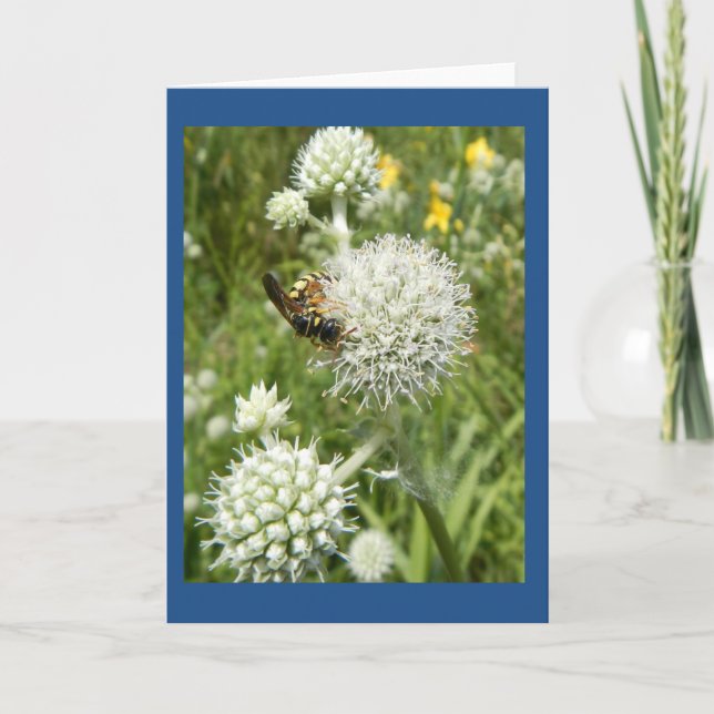Cartão Wasp on Rattlesnake Master Blank Note Card (Frente)