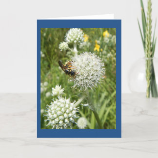 Cartão Wasp on Rattlesnake Master Blank Note Card