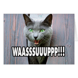 Cartão WASSUP - Gato Meme