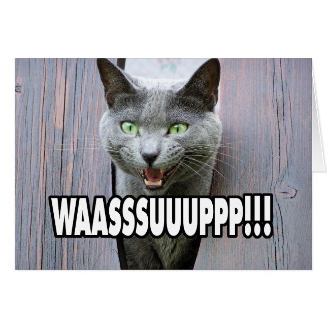 Cartão WASSUP - Gato Meme (Frente Horizontal)
