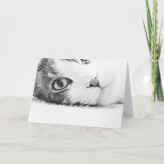 Cartão Watching you, greetingcard empty