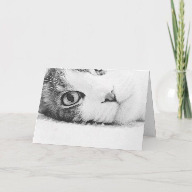 Cartão Watching you, greetingcard empty (Frente)