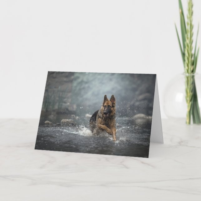 Cartão Water dog (Frente)