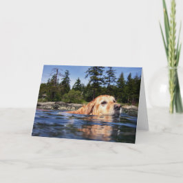 Cartão Water Dog - Cards