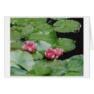 Cartão Water Lillies, Monet's House, Giverny, França