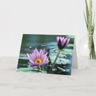 Cartão water lily  card