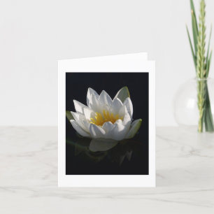 Cartão Water Lily Notecard