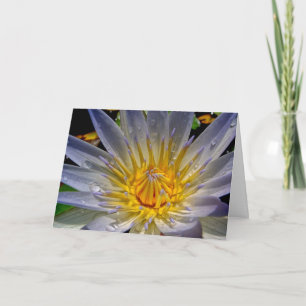 Cartão Water Lily with Prayer Sympathy Card