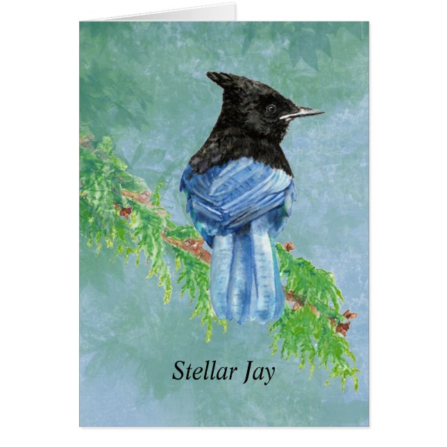 Cartão Watercolor Stellar Jay Bird Nature (Frente)