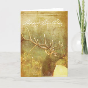 Cartão Watercolor wash Painted Elk Birthday Card