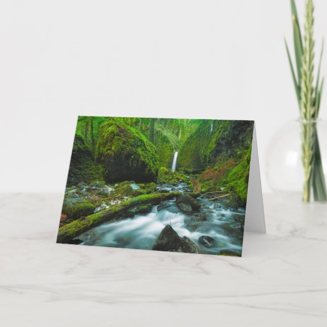 Cartão Waterfalls | Grotto Falls, Oregon (Frente)