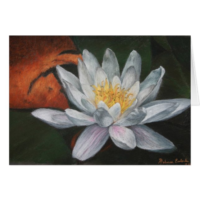 Cartão Waterlilly com almofada inoperante (Frente Horizontal)