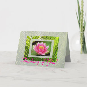 Cartão Waterlily Card