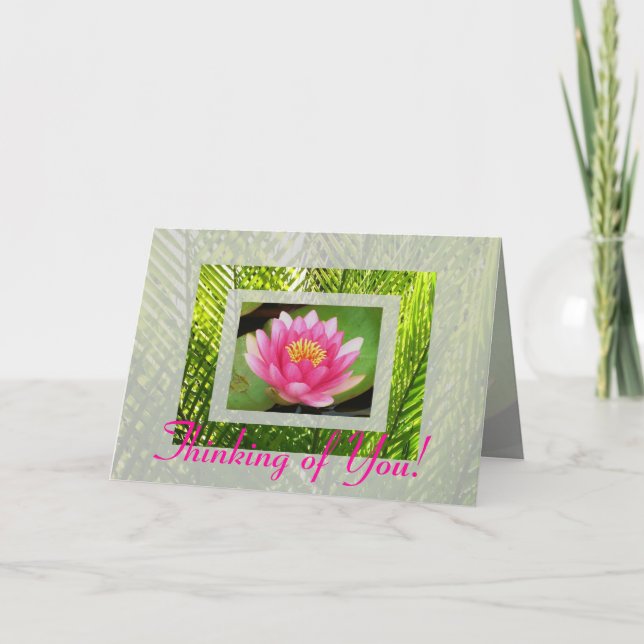 Cartão Waterlily Card (Frente)