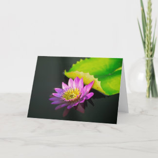 Cartão Waterlily Greeting Card