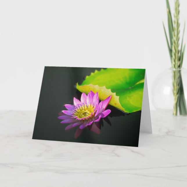 Cartão Waterlily Greeting Card (Frente)