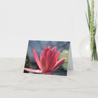 Cartão Waterlily Note Card