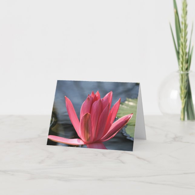 Cartão Waterlily Note Card (Frente)