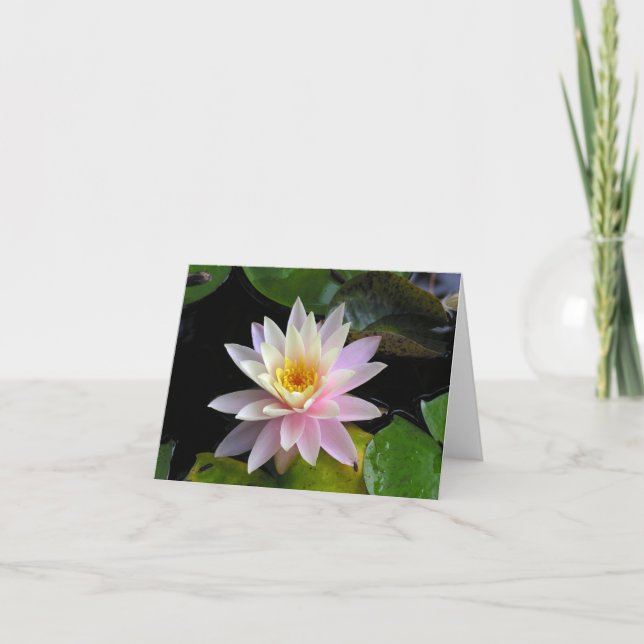 Cartão Waterlily Notecard (Frente)