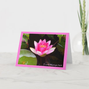 Cartão Waterlily Rosa 4