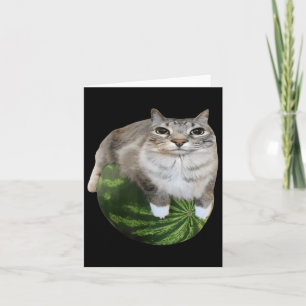 Cartão Watermelon Cat Bobo Memória