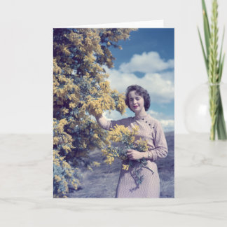 Cartão Wattle in Canberra - retro