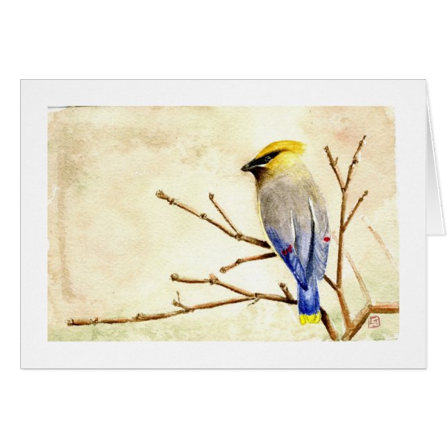 Cartão Waxwing de cedro (Frente Horizontal)