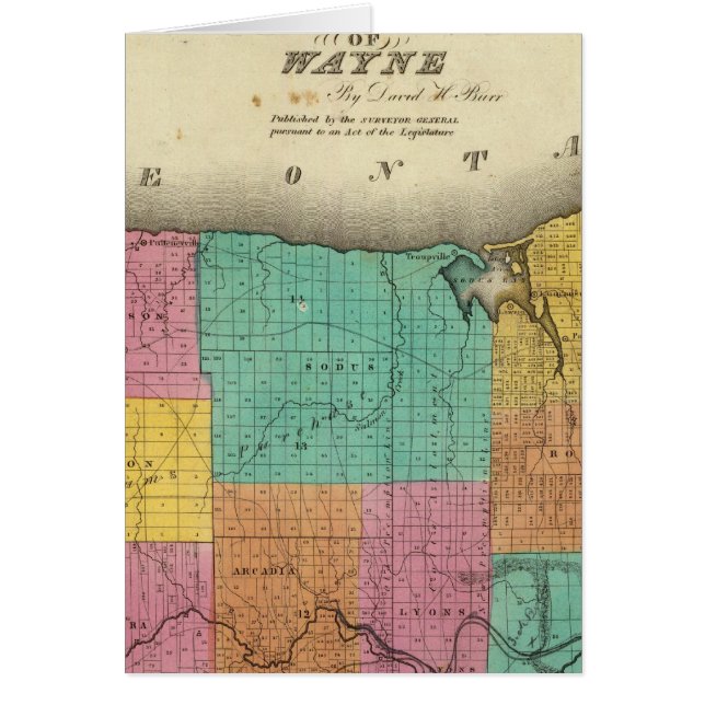 Cartão Wayne County (Frente)