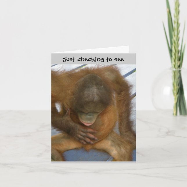 Cartão Wazzup Engraçado Olá aos Amigos (Frente)