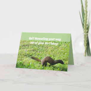 Cartão Weaseling Out Birthday Card