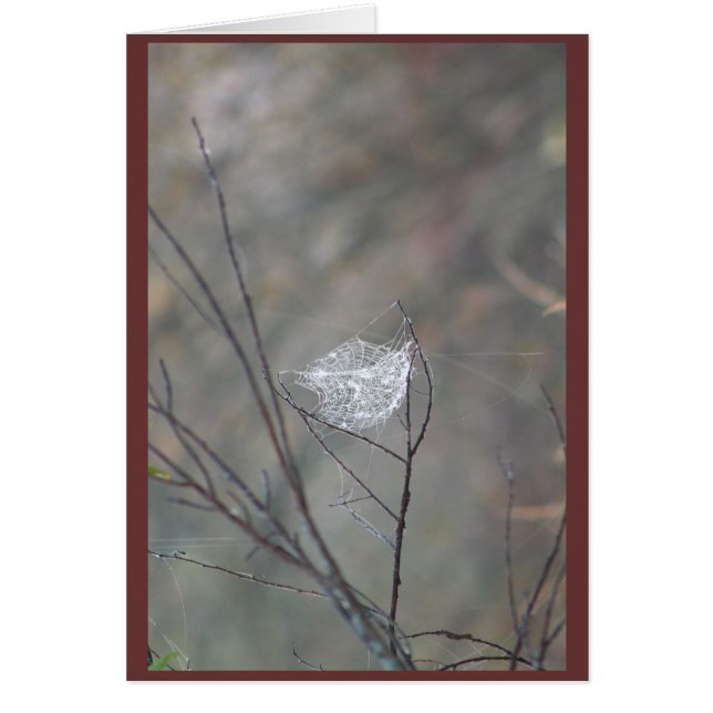 Cartão Web (Frente)