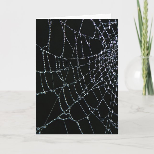 Cartão Web Wonder (Frente)