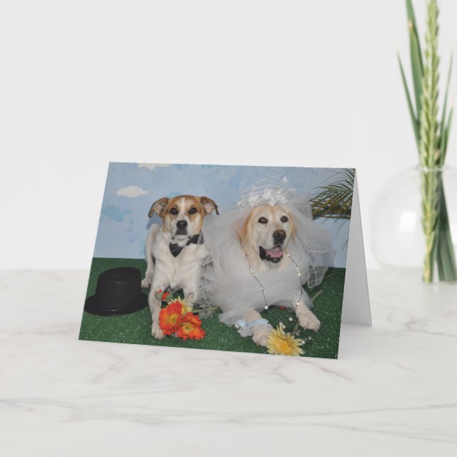 Cartão Wedding card, photo of 2 dogs on wedding day (Frente)